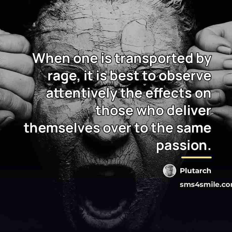 “When one is transported by rage, it is best to…” quote by Plutarch
