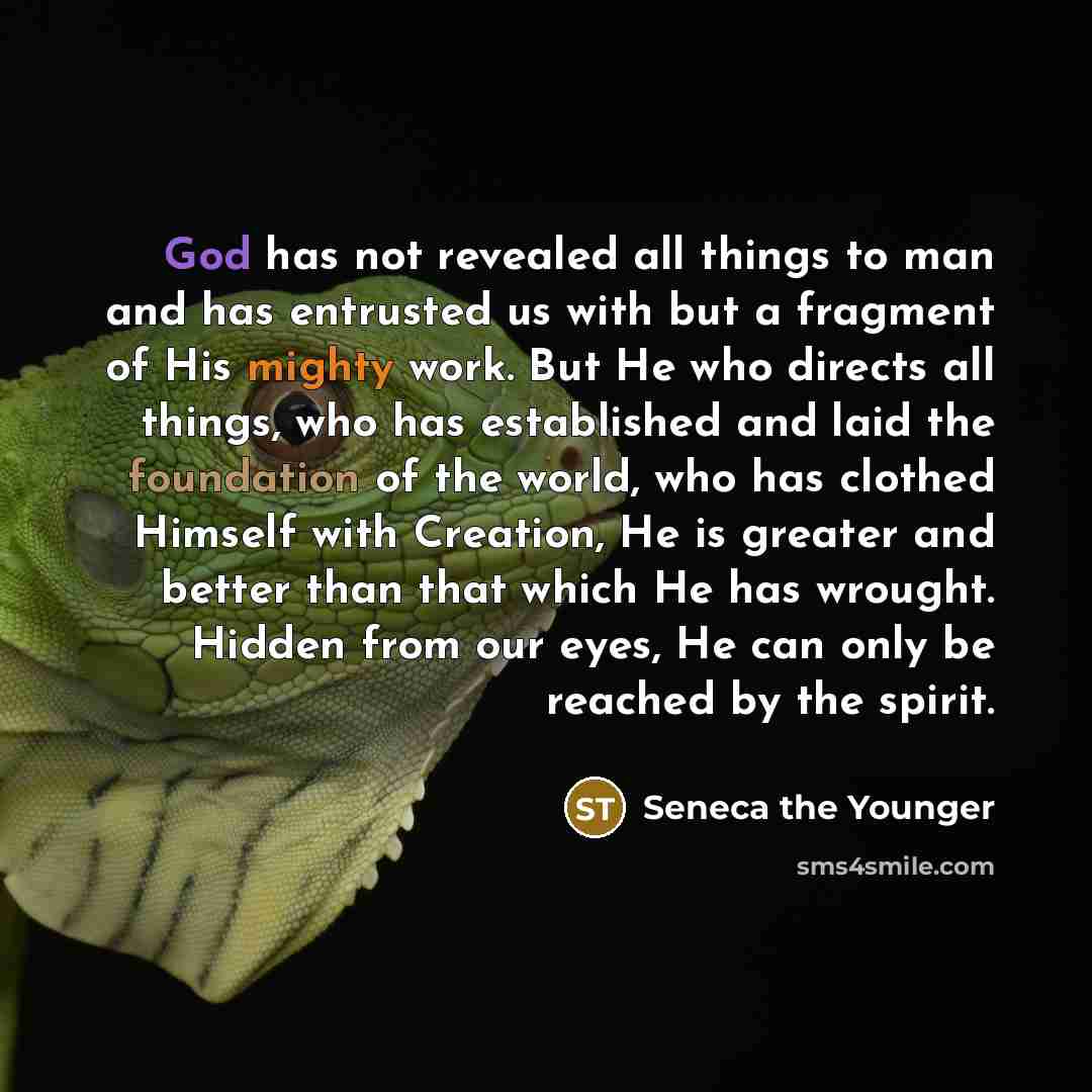 “God has not revealed all things to man and has…” quote by Seneca the Younger