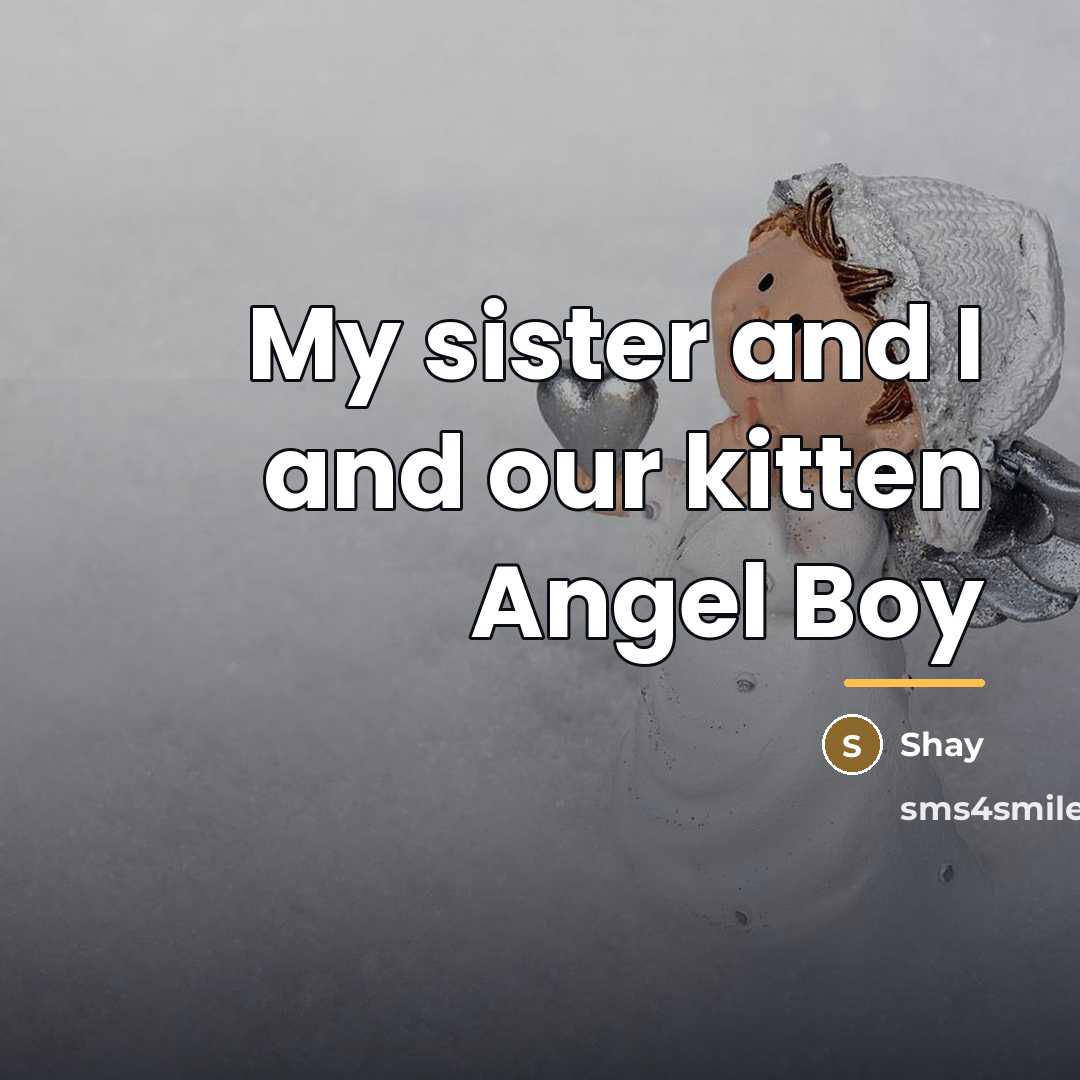 “My sister and I and our kitten Angel Boy…” quote by Shay