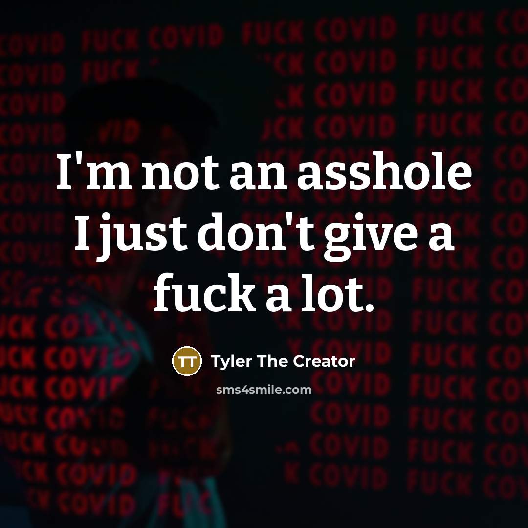 “I'm not an asshole I just don't give a fuck a lot.” quote by Tyler The Creator