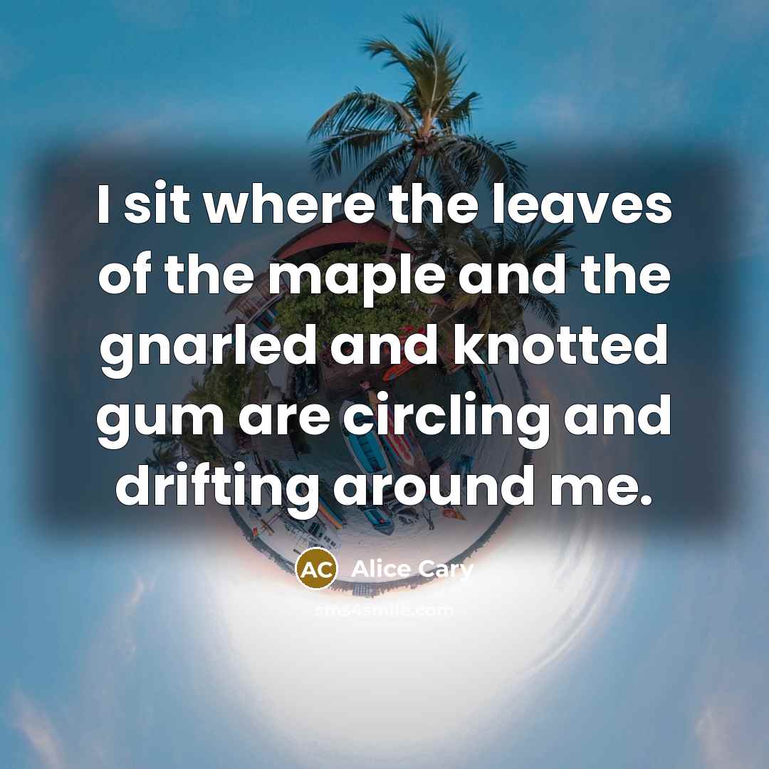 “I sit where the leaves of the maple and the…” quote by Alice Cary
