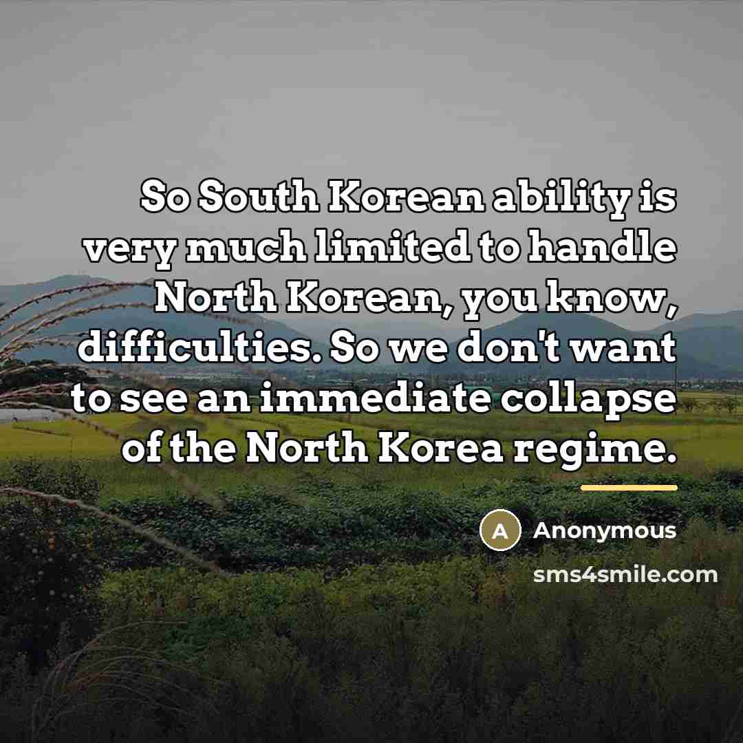 “So South Korean ability is very much limited to handle…” quote by Anonymous