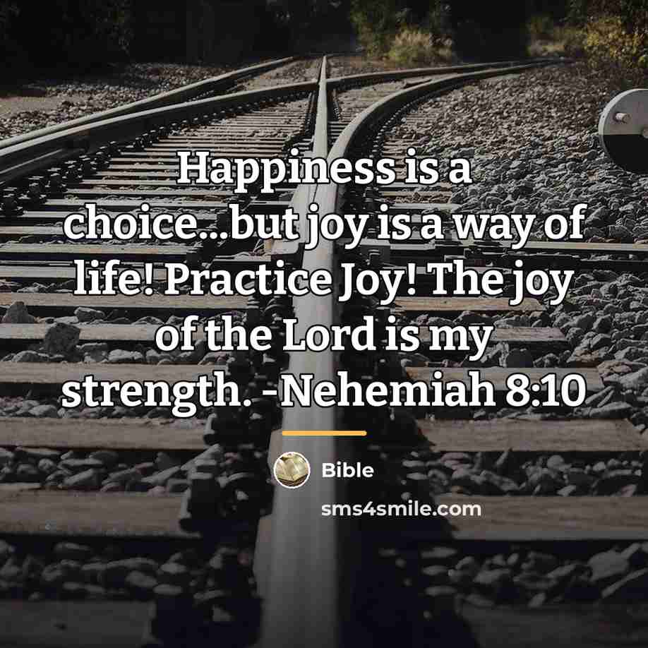 “Happiness is a choice...but joy is a way of life!…” quote by Bible