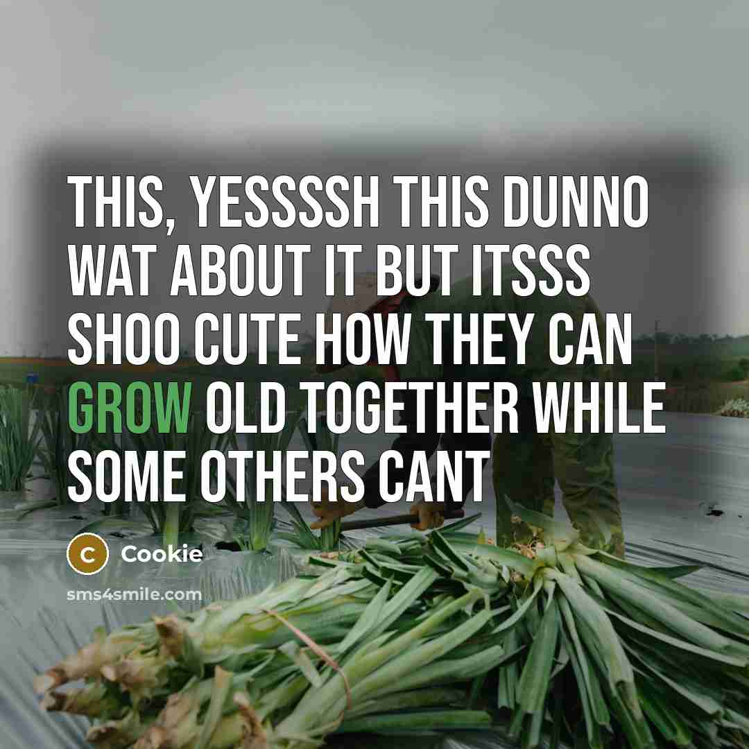 “This, yessssh this dunno wat about it but itsss shoo…” quote by Cookie
