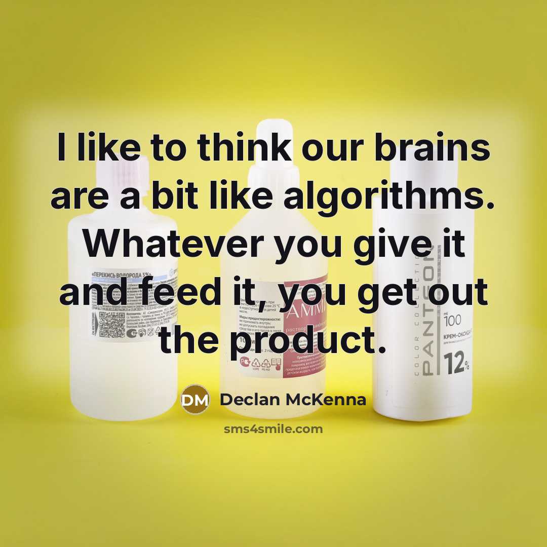 “I like to think our brains are a bit like…” quote by Declan McKenna