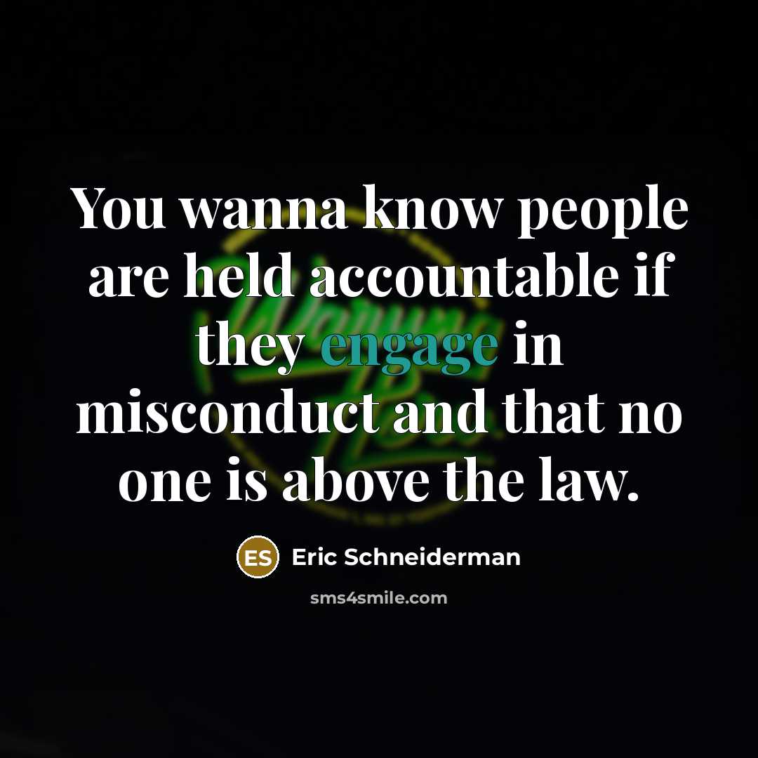 “You wanna know people are held accountable if they engage…” quote by Eric Schneiderman
