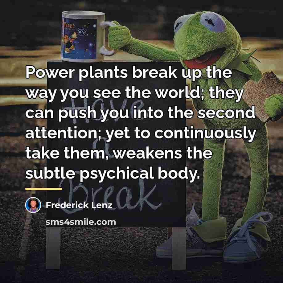“Power plants break up the way you see the world;…” quote by Frederick Lenz