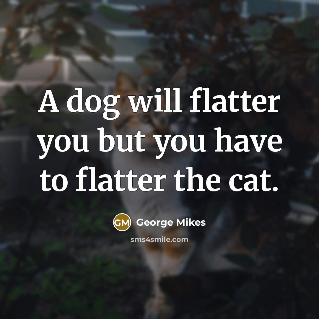 “A dog will flatter you but you have to flatter…” quote by George Mikes