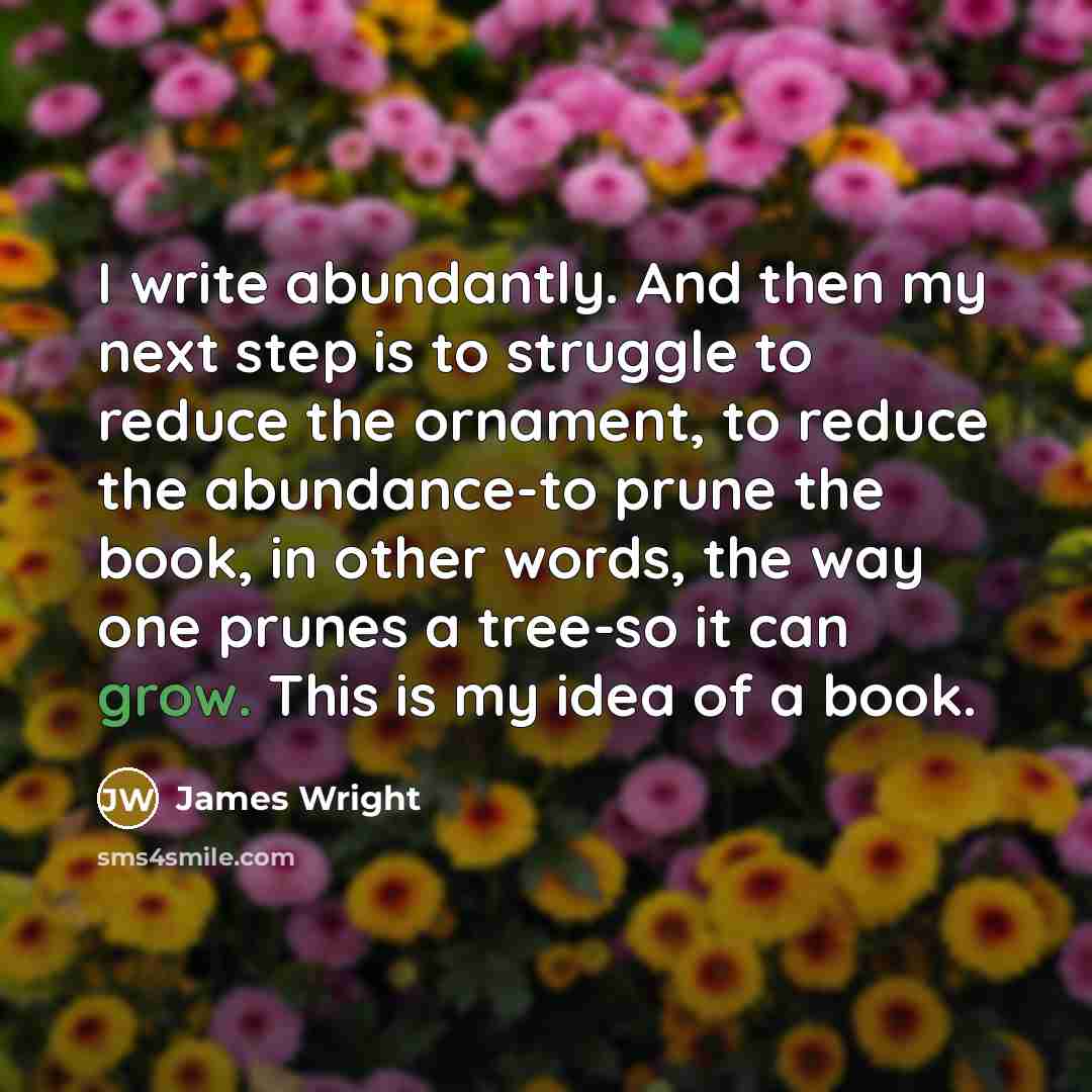 “I write abundantly. And then my next step is to…” quote by James Wright