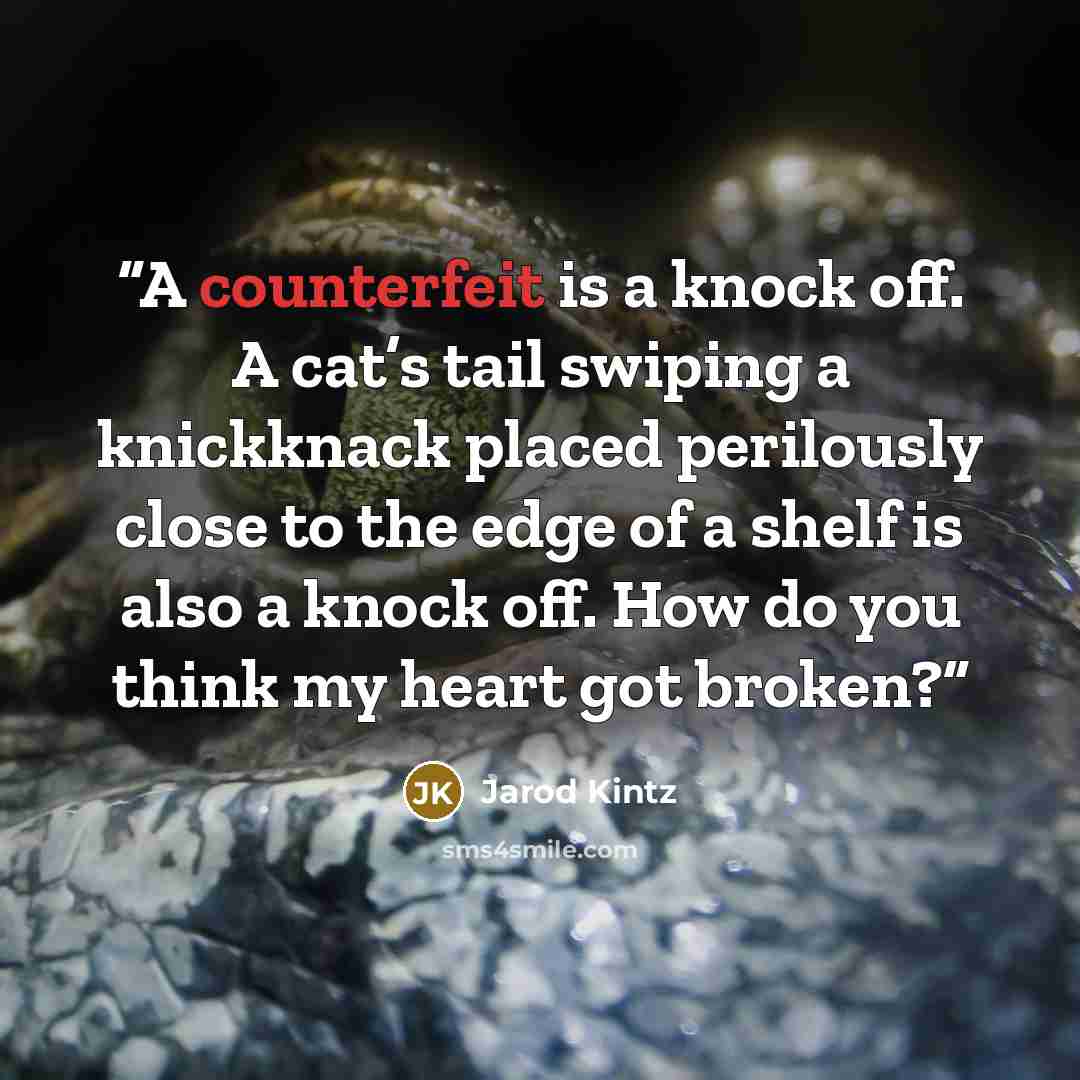 “A counterfeit is a knock off. A cat’s tail swiping a knickknack placed perilously close to the edge of a shelf is also a knock off. How do you think my heart got broken?” quote by Jarod Kintz