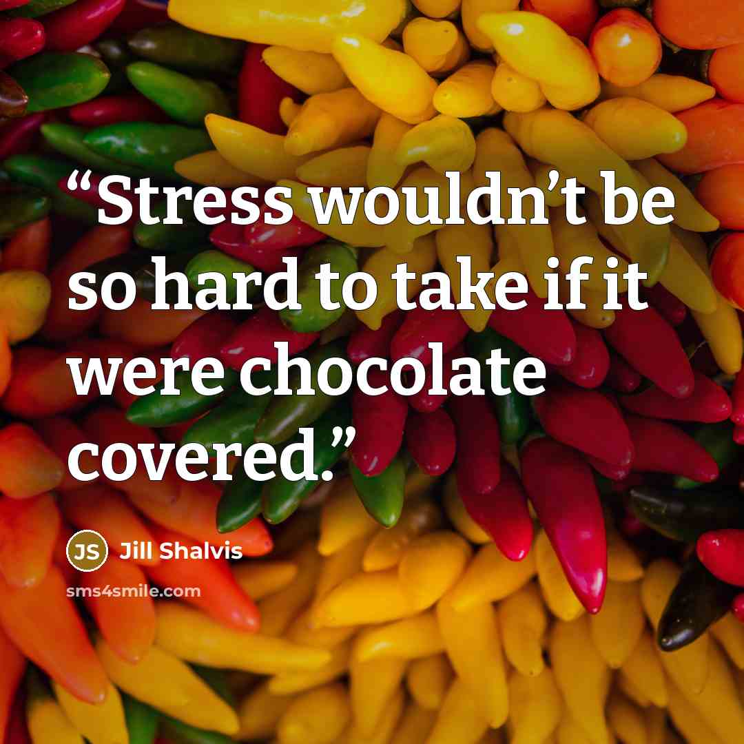“Stress wouldn’t be so hard to take if it were chocolate covered.” quote by Jill Shalvis