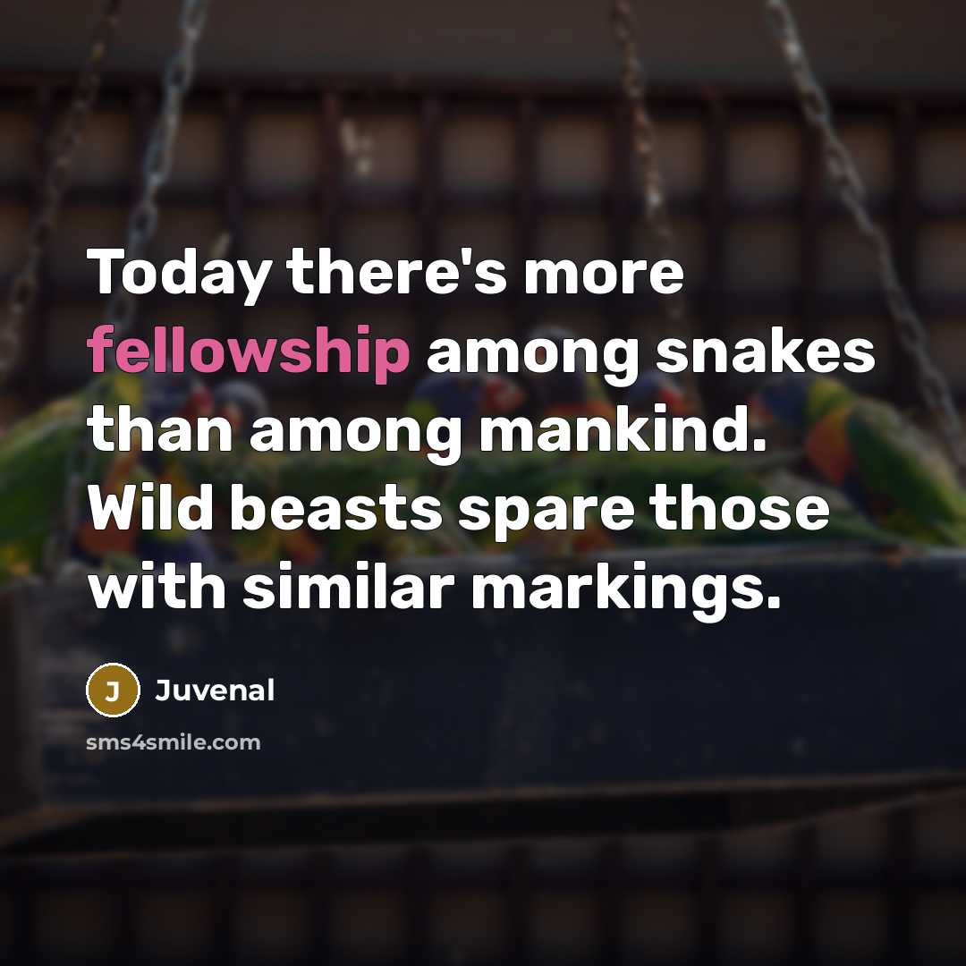 “Today there's more fellowship among snakes than among mankind. Wild…” quote by Juvenal