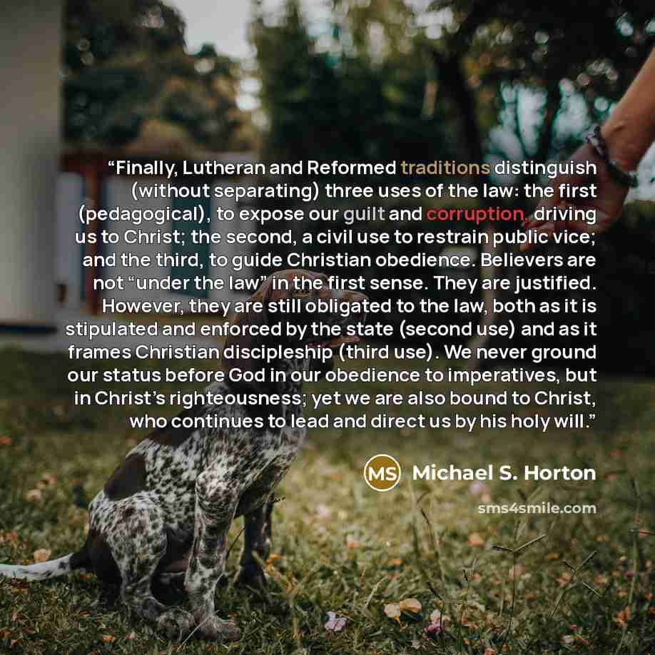 “Finally, Lutheran and Reformed traditions distinguish (without separating) three uses of the law: the first (pedagogical), to expose our guilt and corruption, driving us to Christ; the second, a civil use to restrain public vice; and the third, to guide Christian obedience. Believers are not…” quote by Michael S. Horton