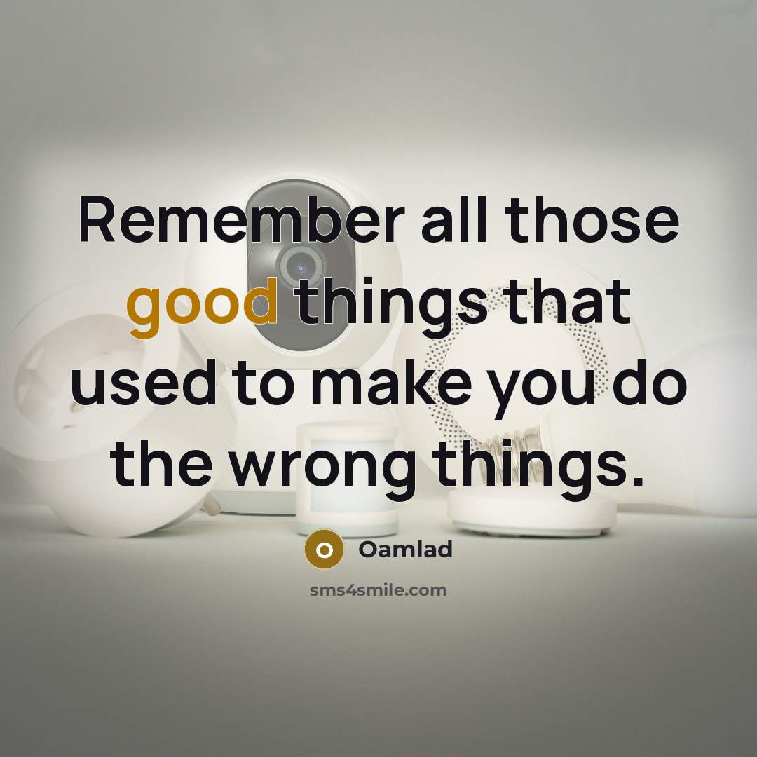 “Remember all those good things that used to make you…” quote by Oamlad