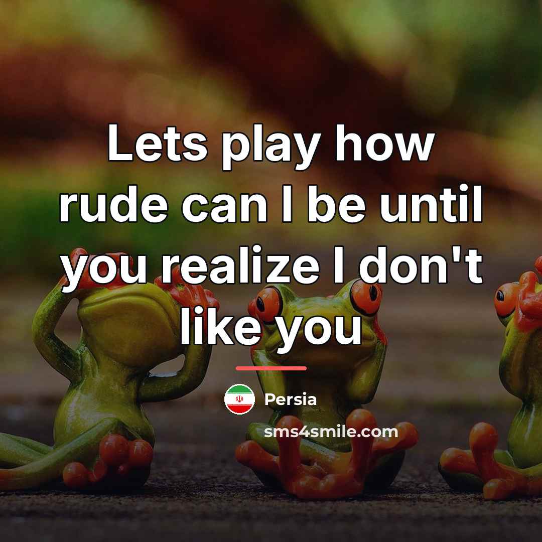 “Lets play how rude can I be until you realize…” quote by Persia