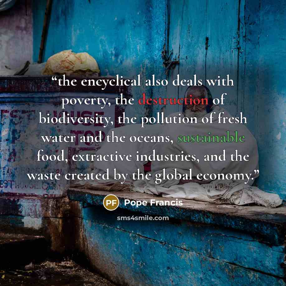 “the encyclical also deals with poverty, the destruction of biodiversity, the pollution of fresh water and the oceans, sustainable food, extractive industries, and the waste created by the global economy.” quote by Pope Francis