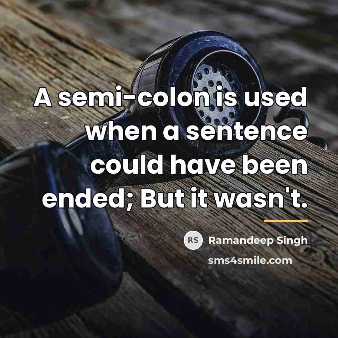 “A semi-colon is used when a sentence could have been…” quote by Ramandeep Singh