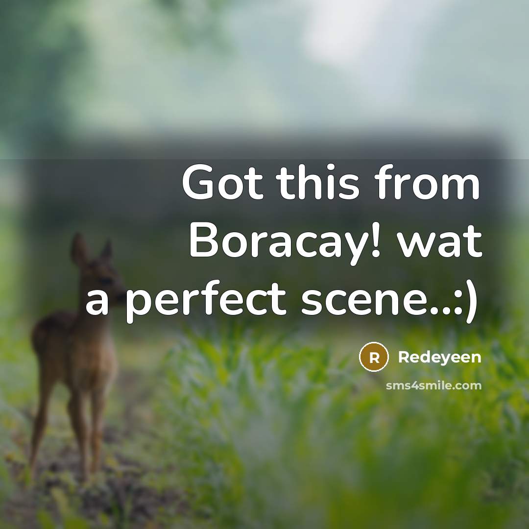 “Got this from Boracay! wat a perfect scene..:)” quote by Redeyeen