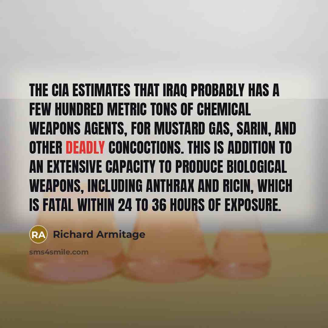 “The CIA estimates that Iraq probably has a few hundred…” quote by Richard Armitage