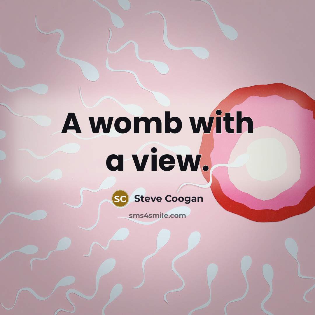 “A womb with a view.…” quote by Steve Coogan