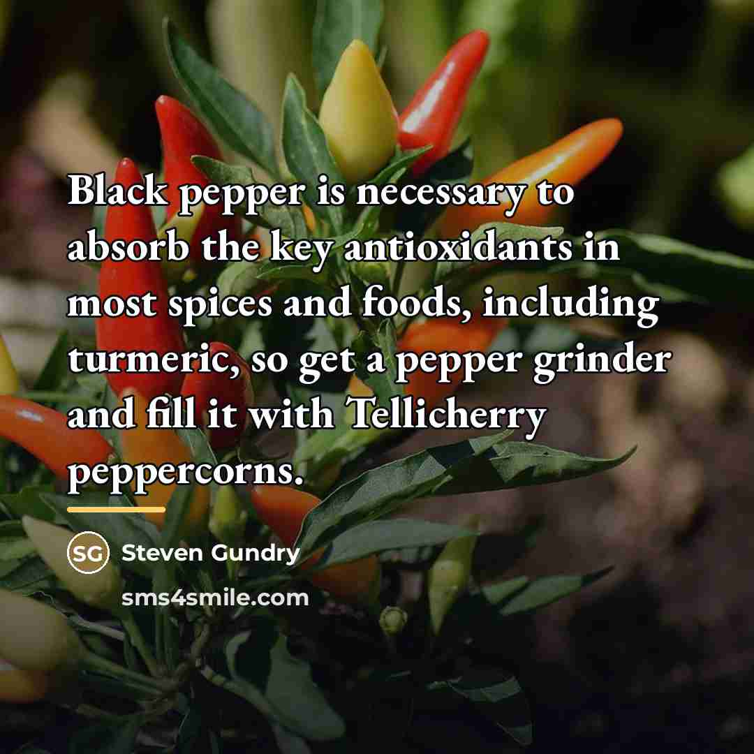“Black pepper is necessary to absorb the key antioxidants in…” quote by Steven Gundry