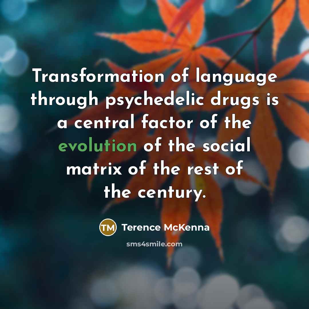 “Transformation of language through psychedelic drugs is a central factor…” quote by Terence McKenna