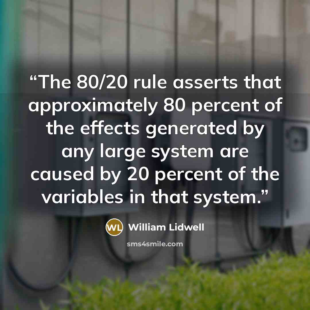 “The 80/20 rule asserts that approximately 80 percent of the effects generated by any large system are caused by 20 percent of the variables in that system.” quote by William Lidwell