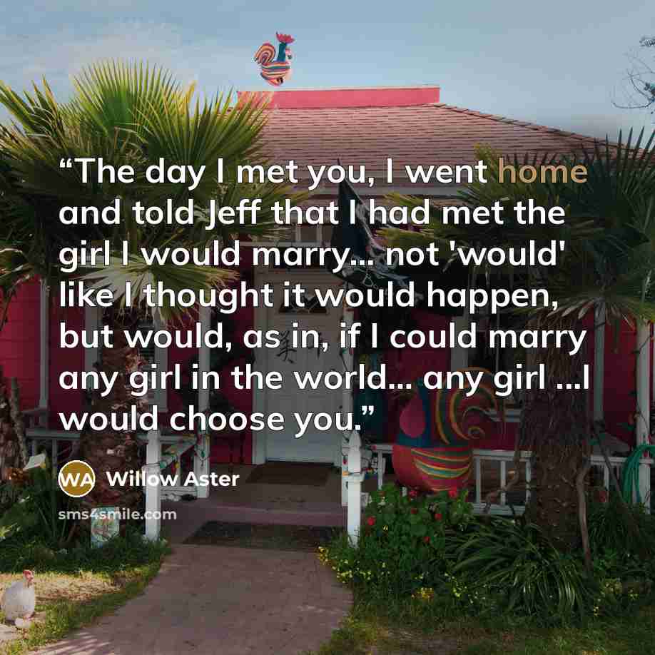 “The day I met you, I went home and told Jeff that I had met the girl I would marry... not 'would' like I thought it would happen, but would, as in, if I could marry any girl in the world... any girl ...I would choose you.” quote by Willow Aster