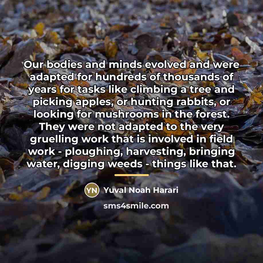 “Our bodies and minds evolved and were adapted for hundreds…” quote by Yuval Noah Harari