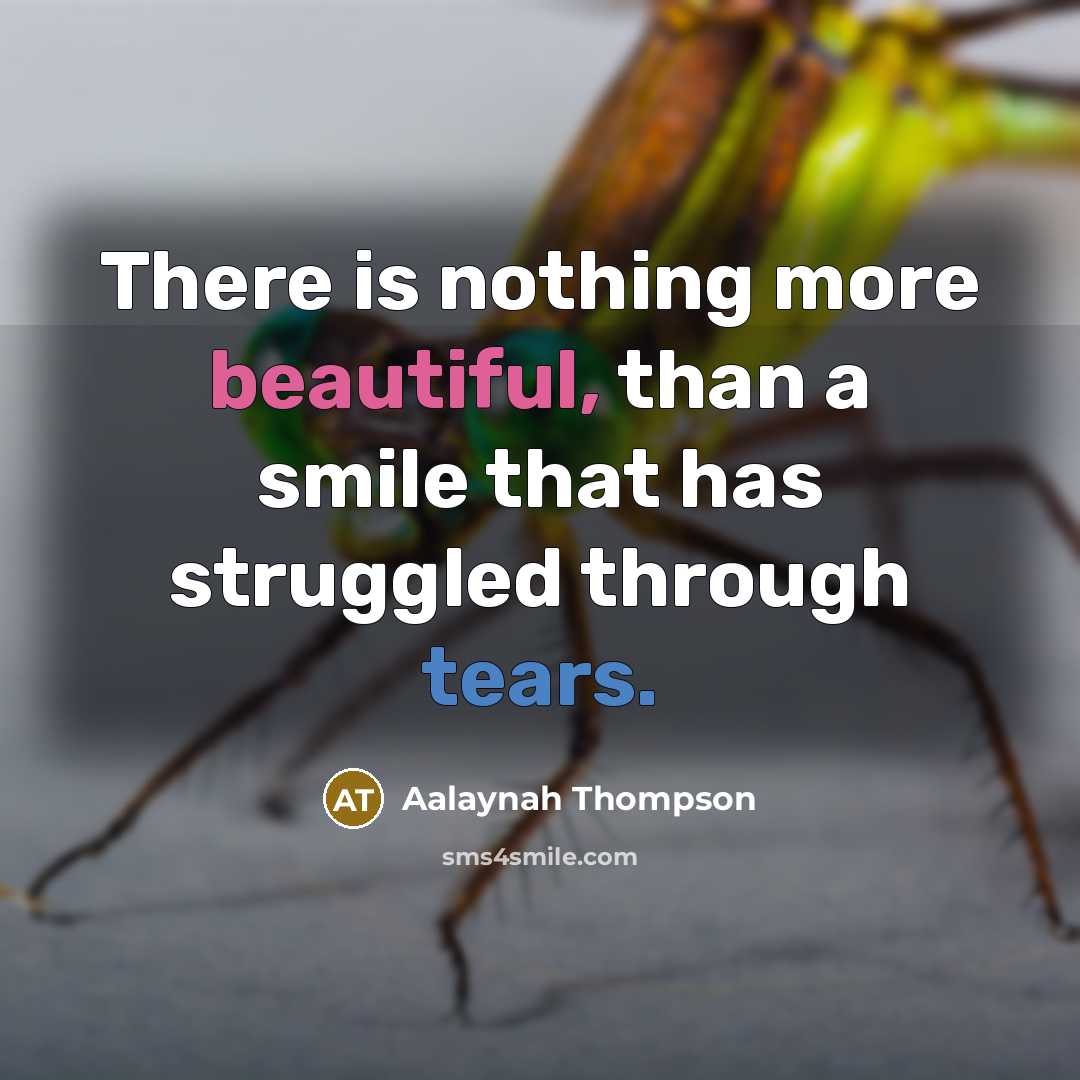 “There is nothing more beautiful, than a smile that has struggled through tears.” quote by Aalaynah Thompson