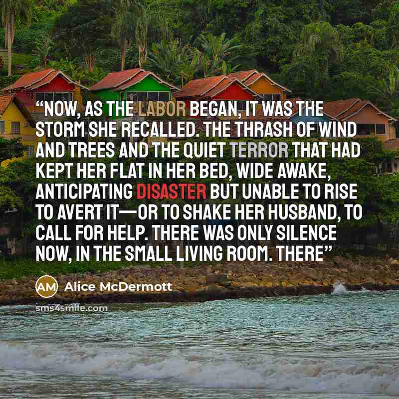 “Now, as the labor began, it was the storm she recalled. The thrash of wind and trees and the quiet terror that had kept her flat in her bed, wide awake, anticipating disaster but unable to rise to avert it—or to shake her husband, to call for help. There was only silence now, in the small living…” quote by Alice McDermott