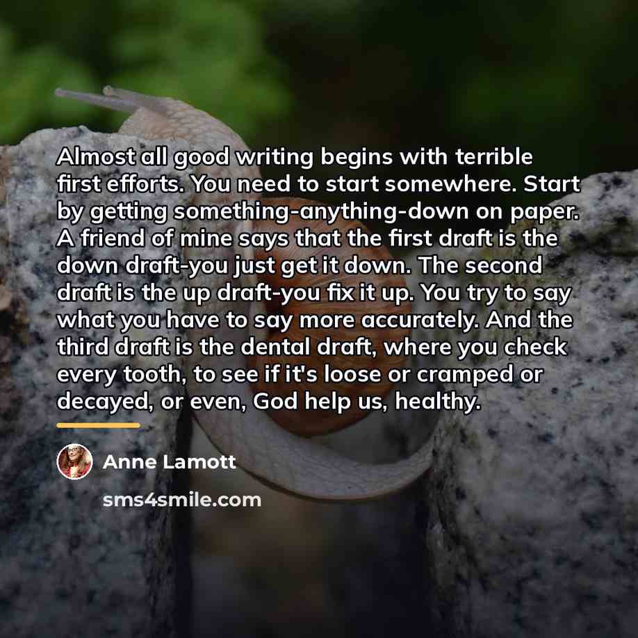“Almost all good writing begins with terrible first efforts. You…” quote by Anne Lamott