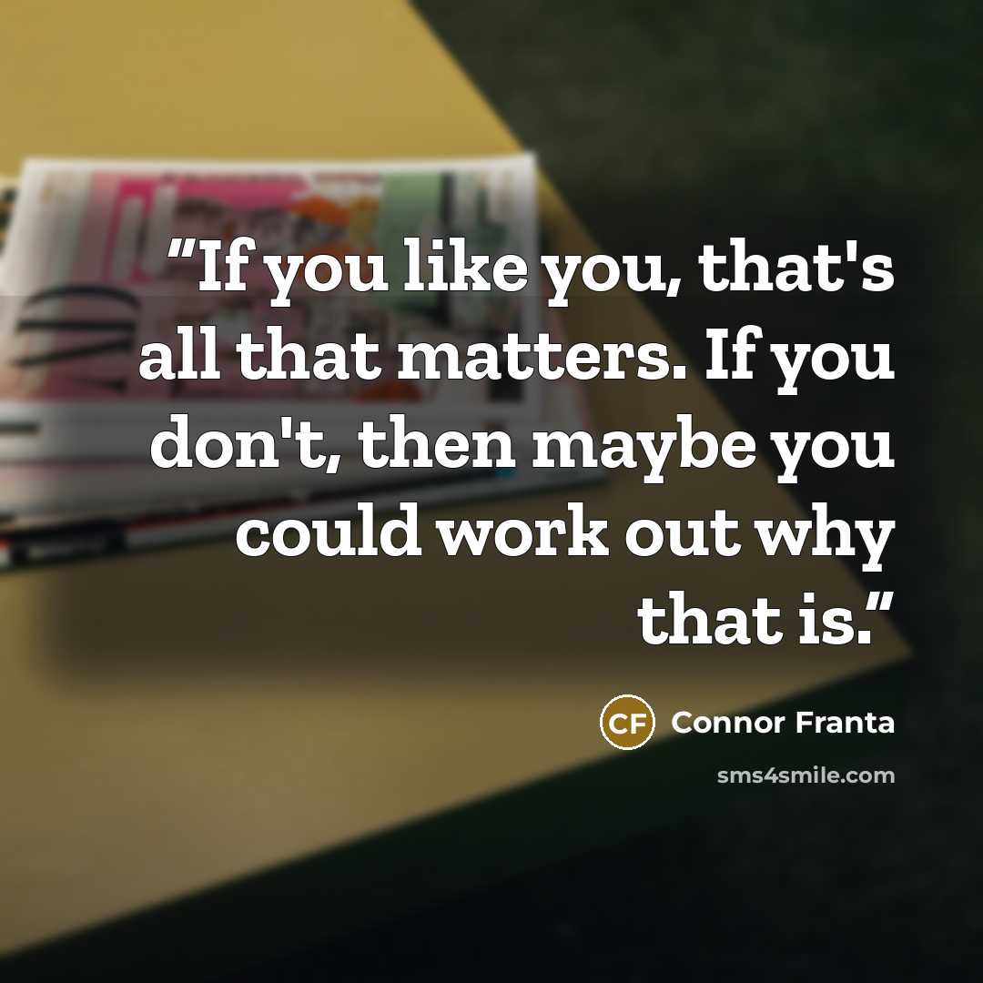 “If you like you, that's all that matters. If you don't, then maybe you could work out why that is.” quote by Connor Franta