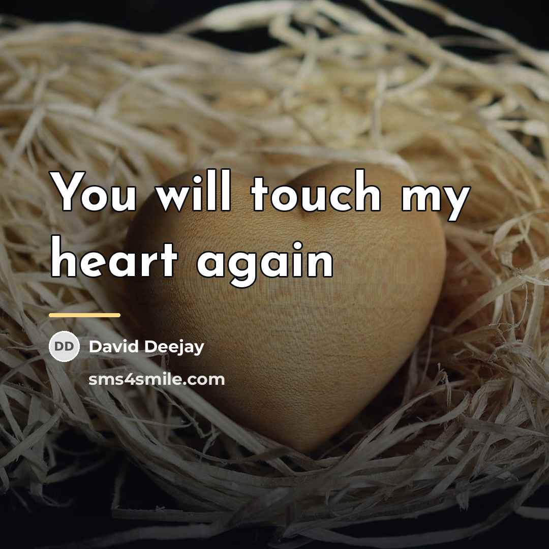“You will touch my heart again…” quote by David Deejay