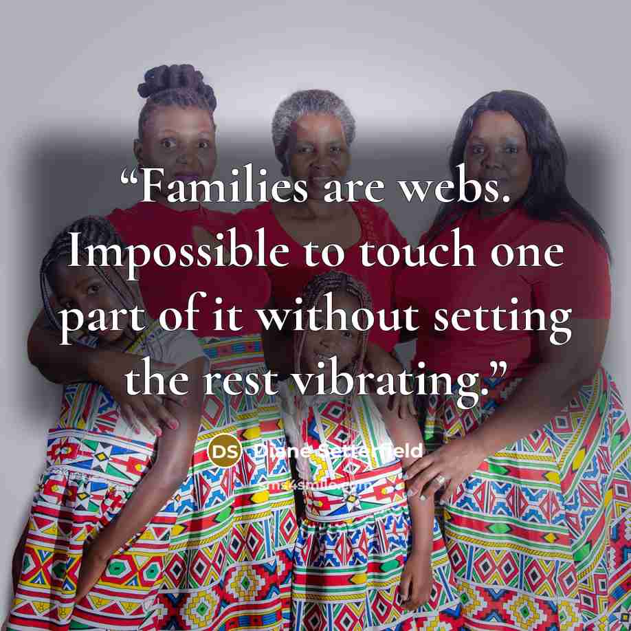 “Families are webs. Impossible to touch one part of it without setting the rest vibrating.” quote by Diane Setterfield