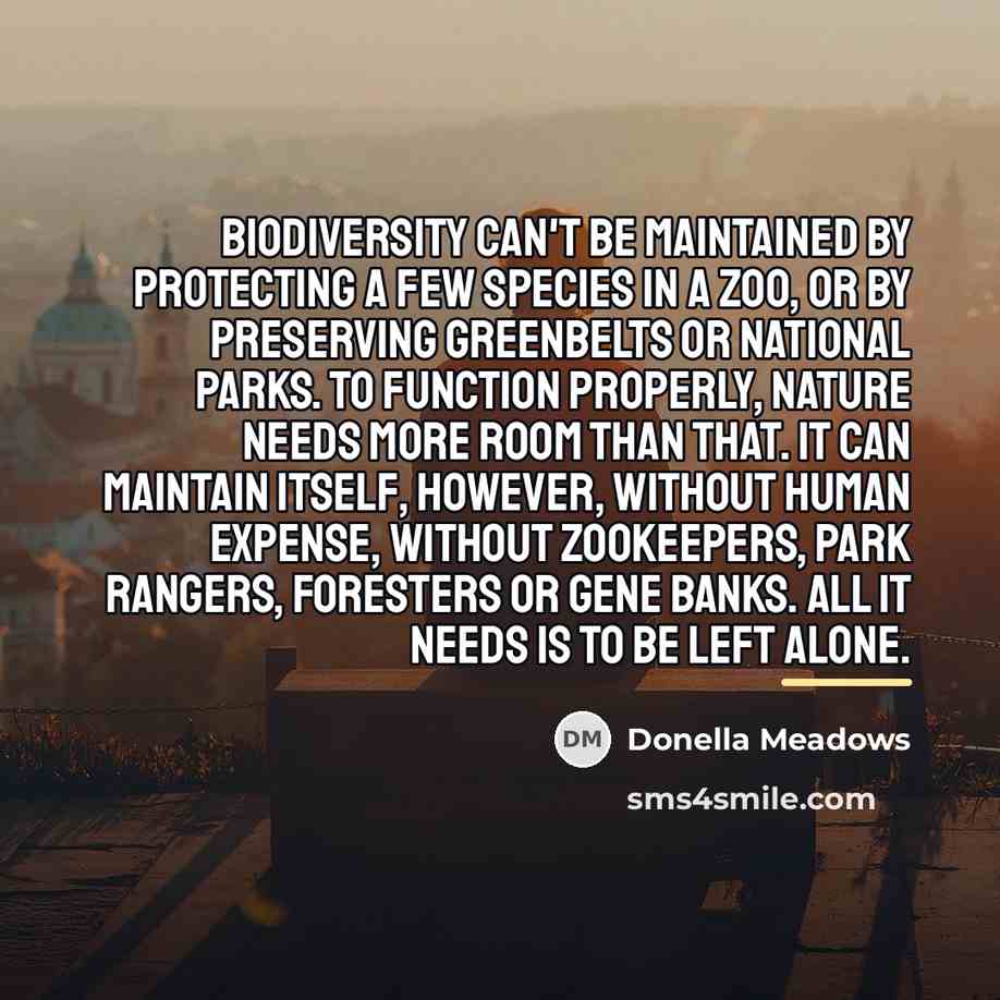 “Biodiversity can't be maintained by protecting a few species in…” quote by Donella Meadows