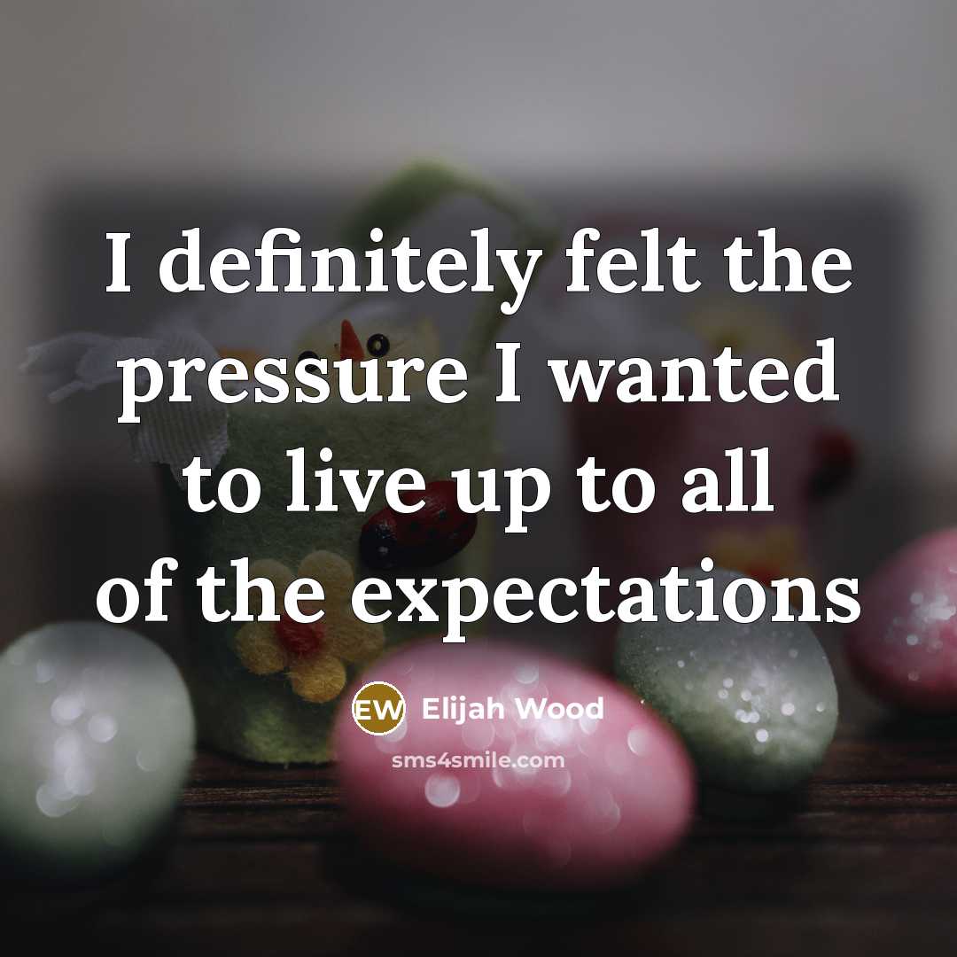 “I definitely felt the pressure I wanted to live up…” quote by Elijah Wood