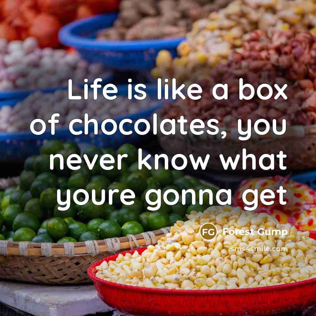 “Life is like a box of chocolates, you never know…” quote by Forest Gump