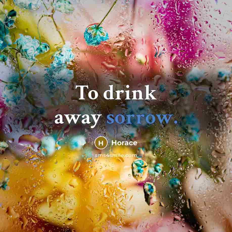 “To drink away sorrow.” quote by Horace