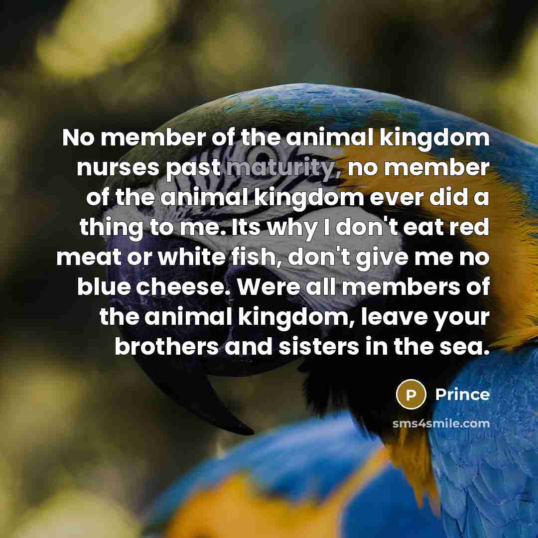 “No member of the animal kingdom nurses past maturity, no…” quote by Prince