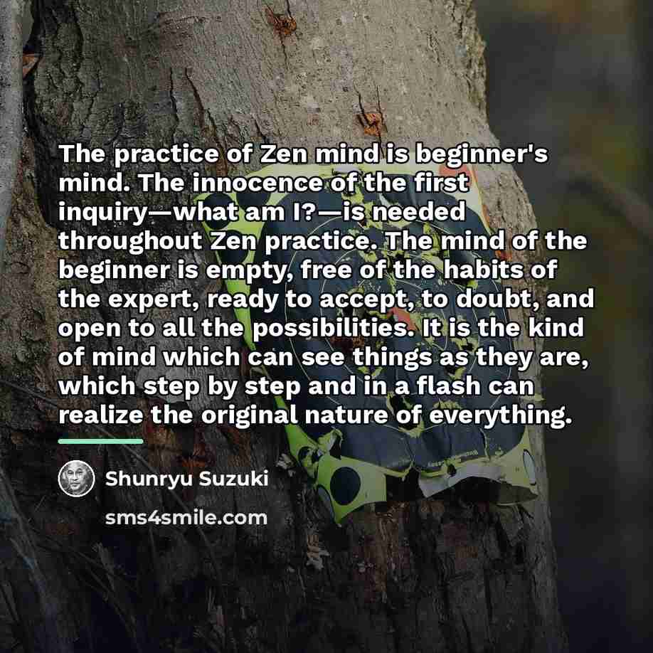 “The practice of Zen mind is beginner's mind. The innocence…” quote by Shunryu Suzuki