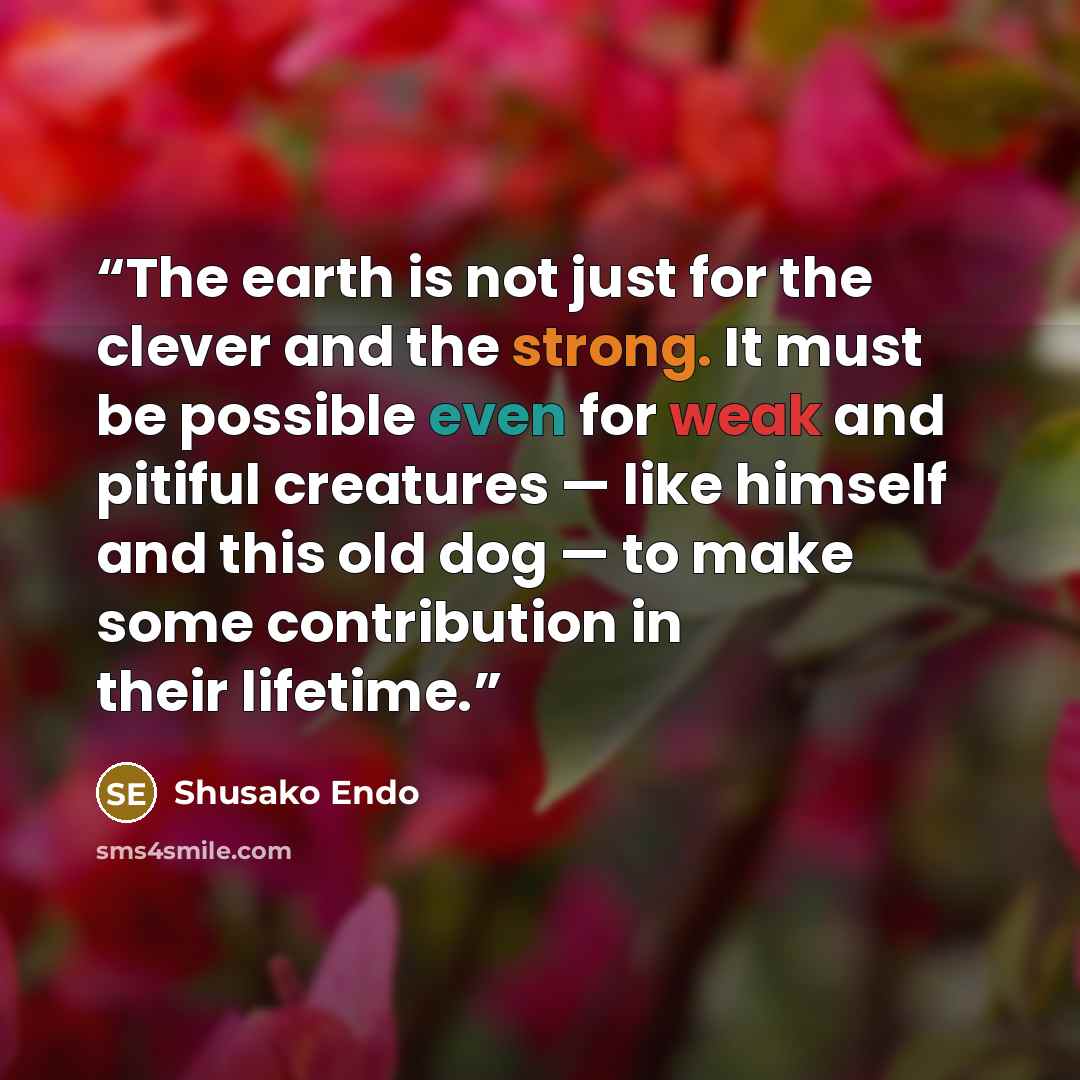 “The earth is not just for the clever and the strong. It must be possible even for weak and pitiful creatures — like himself and this old dog — to make some contribution in their lifetime.” quote by Shusako Endo