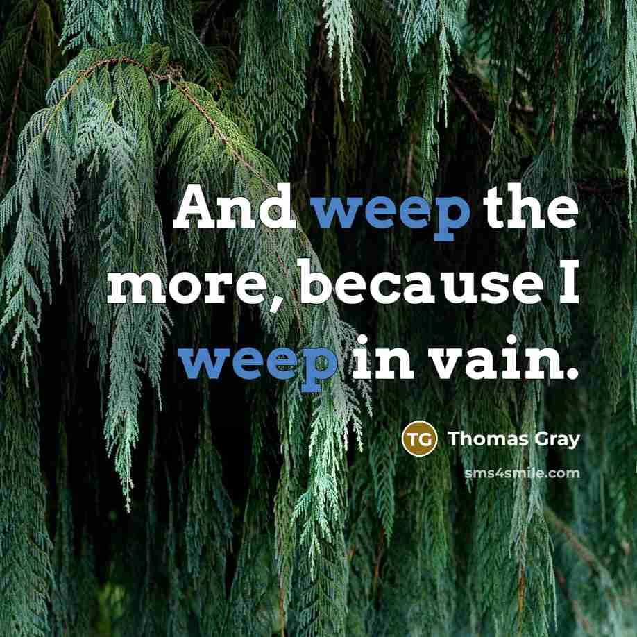 “And weep the more, because I weep in vain.…” quote by Thomas Gray