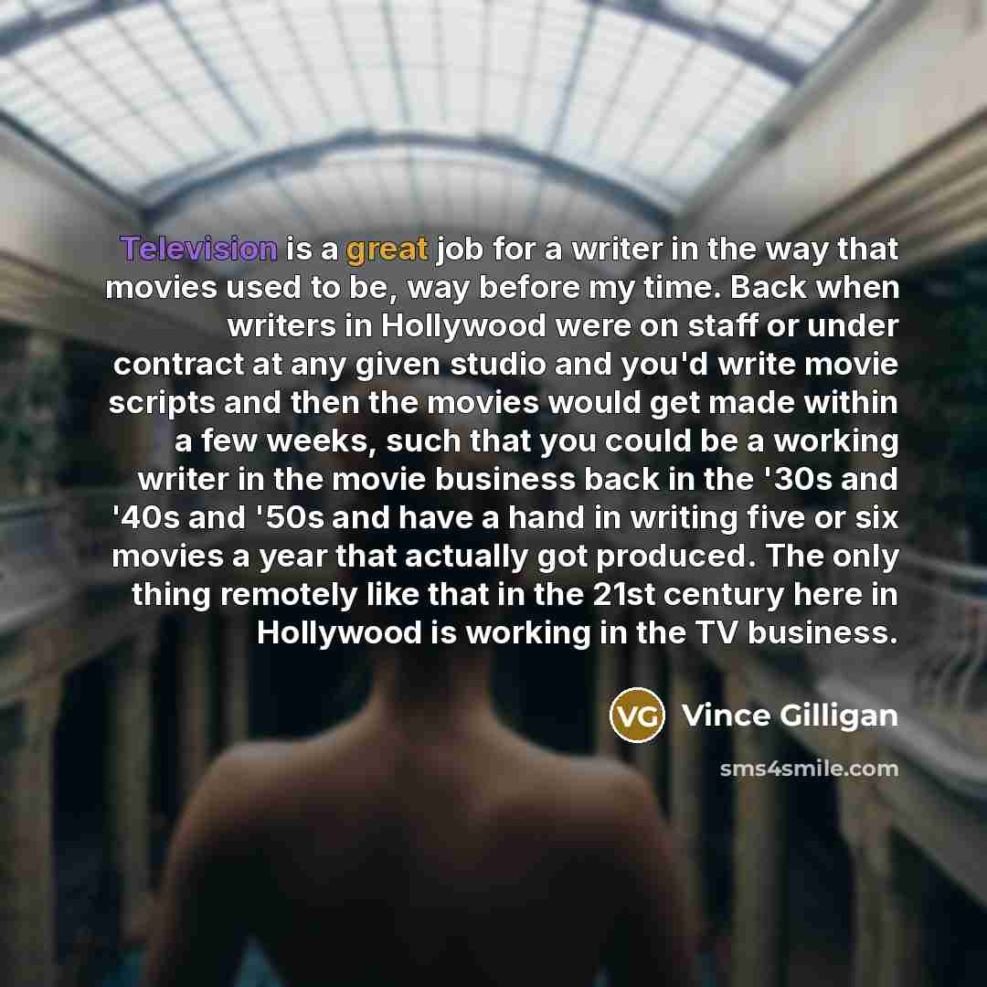 “Television is a great job for a writer in the…” quote by Vince Gilligan