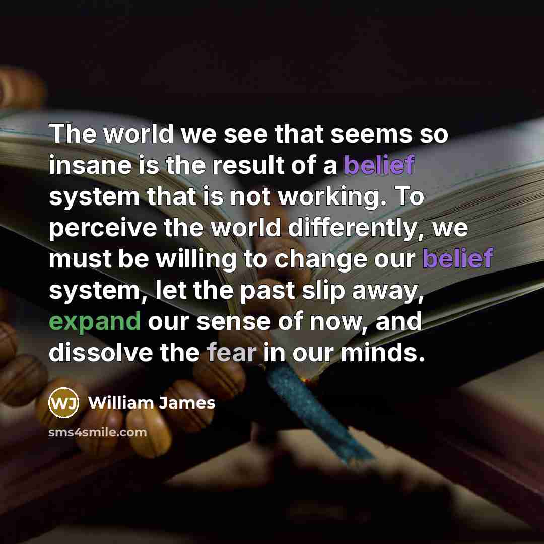 “The world we see that seems so insane is the…” quote by William James