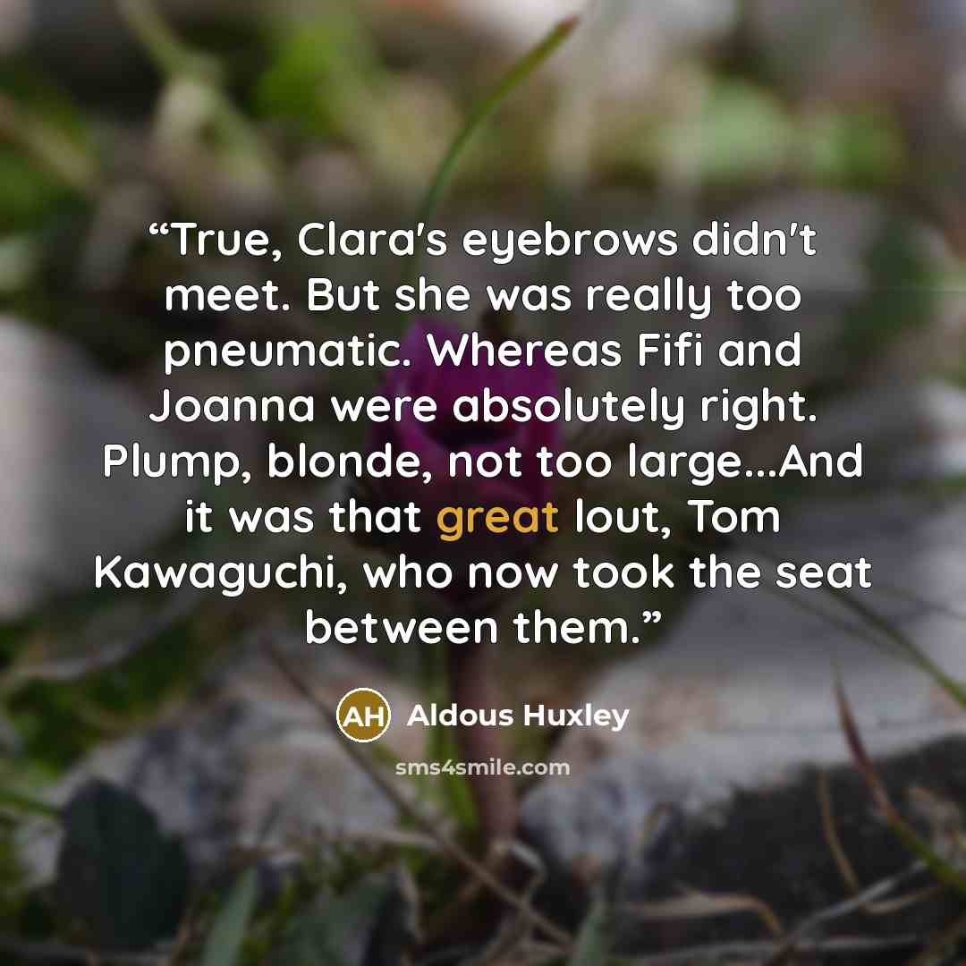 “True, Clara's eyebrows didn't meet. But she was really too pneumatic. Whereas Fifi and Joanna were absolutely right. Plump, blonde, not too large...And it was that great lout, Tom Kawaguchi, who now took the seat between them.” quote by Aldous Huxley