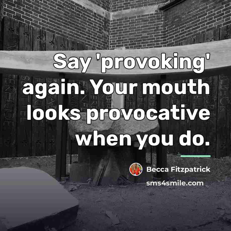 “Say 'provoking' again. Your mouth looks provocative when you do.…” quote by Becca Fitzpatrick