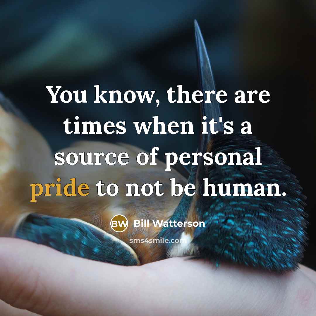“You know, there are times when it's a source of…” quote by Bill Watterson