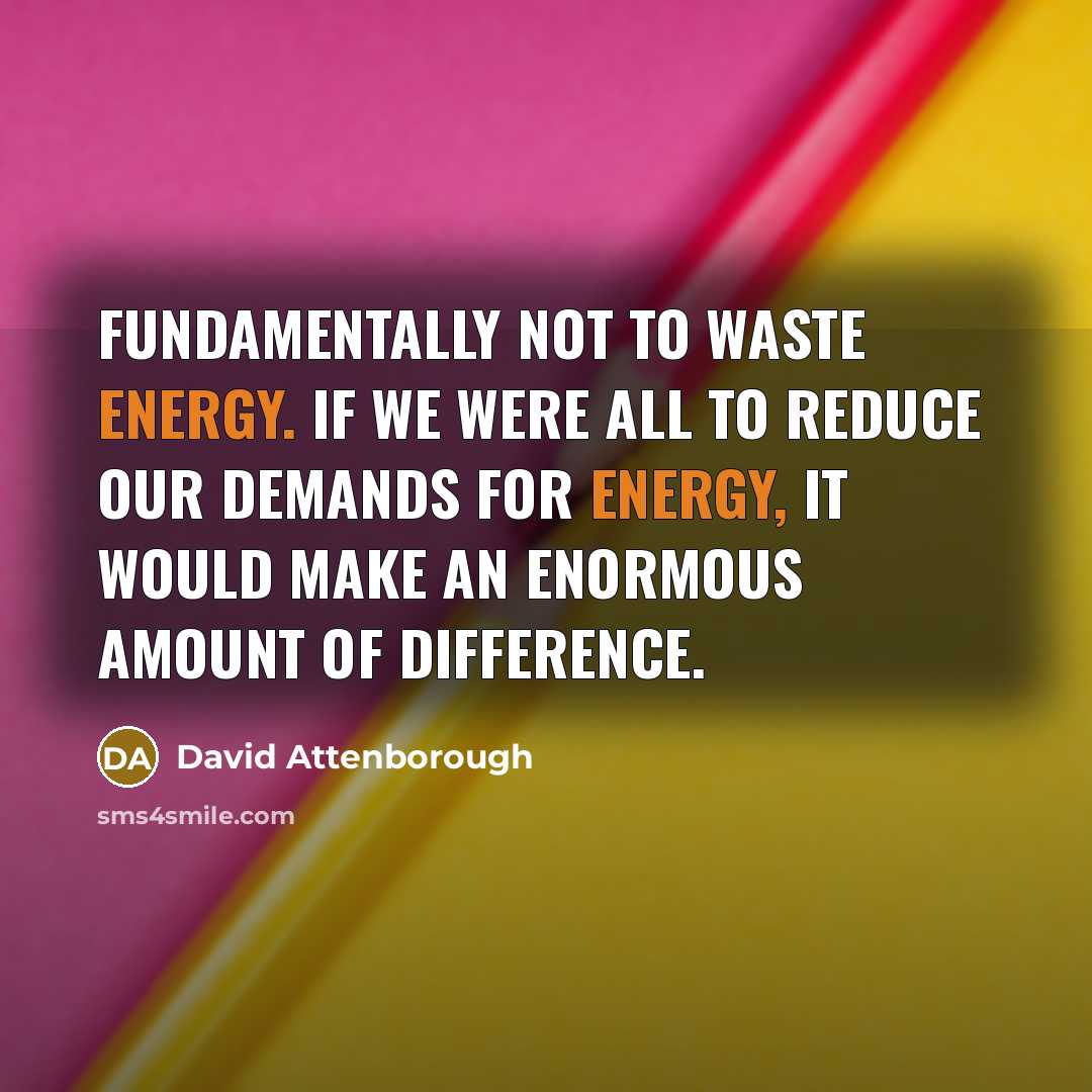 “Fundamentally not to waste energy. If we were all to…” quote by David Attenborough