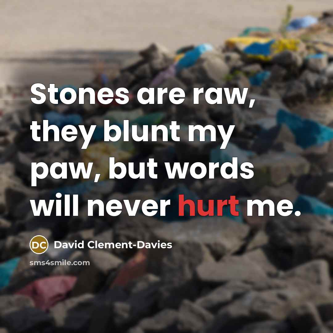 “Stones are raw, they blunt my paw, but words will…” quote by David Clement-Davies